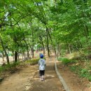 일자산공원 유아숲체험원 이미지