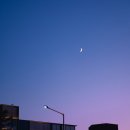 비엔나음악학원 - 관악구 청림6길 3 | 비엔나음악학원