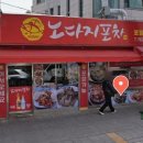 산호포차 이미지