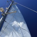 호화요트를 타고 푸른 제주바다를 즐겨본다 샹그릴라 요트투어[제주/서귀포] 이미지