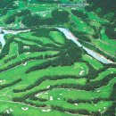 용평 버치힐골프클럽 이미지