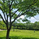 용산-이촌-751 이미지