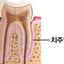 닥터굿플란트치과의원 이미지