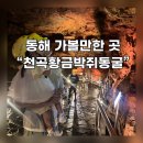 천곡황금박쥐동굴 | 동해 가볼만한 곳 “천곡황금박쥐동굴” - 아이랑 체험하기 좋았던 시원한 실내장소