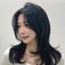 분당-165 이미지