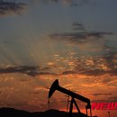 꽉주유소 이미지