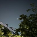 달이예쁘다