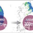 금산-50 이미지