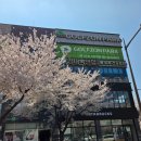 스타벅스 대구금호점