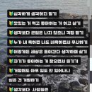 오월의발코니 네이버블로그