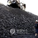 석탄1 이미지