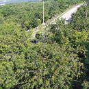 서안농장 이미지