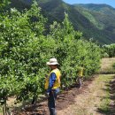 명숙농장 이미지