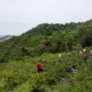 영산로 288 이미지