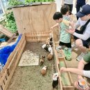 보인농장 | #포시즌힐링팜 #아이와가기좋은곳 #수원농장체험