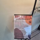왈왈애견 | 🐶부산애견카페 왈왈랜드 방문 후기