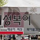 [수성/상동] 복어를 볶고, 데치고, 지지고, 끓이고, 대구 미성복어집 이미지