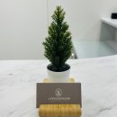 마음그림정신건강의학과의원 이미지