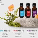 노랑머리앤 | 청라두피관리 후기 l 지루성 두피염 관리! 뾰루지·가려움 완화에 도움된 에코레비 헤어앤스파 루원시티점