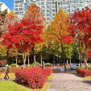 봉오대로 이미지