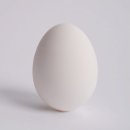 달걀책방 이미지