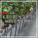 향기농장 | [딸기체험🍓/원주오빠딸기농장체험후기] 봄향기 물씬 느낄 수 있는 새콤달콤 딸기 체험기🍓🍰🌱