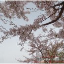 풍산초교 이미지