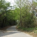 용암사입구 이미지