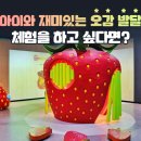 오감아이 이미지