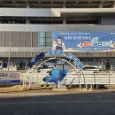 미나리 수산 | 노량진수산시장 고등어회 포장 맛집 손선장 솔직 후기