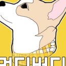 귀여워 강아지 이미지