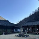 스테이 무어 | 산청 문수암 템플스테이 후기 알고보니 맛절이였던,,,✨