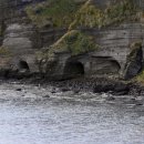 제주 송악산 해안 일제 동굴진지 이미지