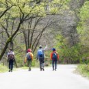 대청호오백리길 찬샘마을길 이미지