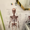 라라에스떼 | 남포동윤곽관리 :: 비대칭교정 한달후기 “라라에스떼”