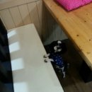 쁘띠시앙 이미지