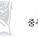 강통신 이미지
