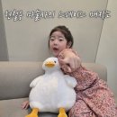 부산시민회관 | 2025년 스페이스 매직쇼 후기. 부산시민회관에서 본 현철용 마술사의 우주매직쇼
