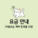 고양이의 봄, 묘랑묘랑 이미지