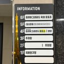 가평야구장 | 전라광주 액티비티 실내 놀이터 플레이그라운드 성인도 가능한 실내 놀이터/내돈내산 후기