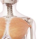 PT의 품격 이미지