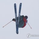 프리스키 이미지