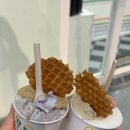 꼬모젤라또 이미지