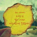 김정환코다리