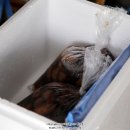 신평종합시장 이미지