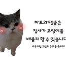 조리미숯불곱창&속초해물알찜 이미지