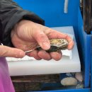 민락회타운시장 | 부산여행 민락회타운 활어판매시장 광안리횟집 여수상회 방문 후기