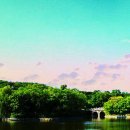 장터회관 이미지