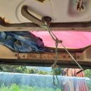 외양농장 이미지