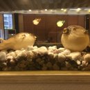 복터진집상모점 이미지